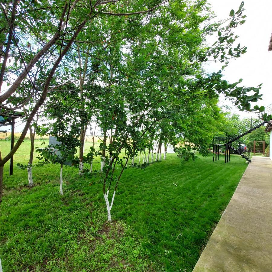Villa Romelia - Select Apartments 바두 외부 사진