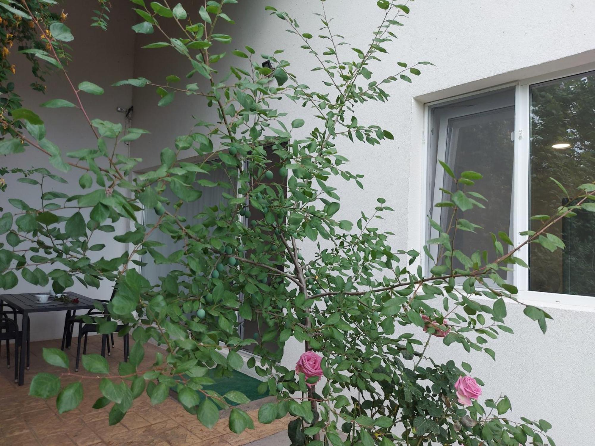 Villa Romelia - Select Apartments 바두 외부 사진